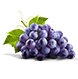 Anggur-grape-organik