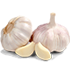 Bawang putih, bawang putih organik, bawang obat, pupuk bawang