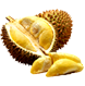 Durian musangking organik