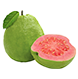 jambu batu organik