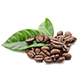 Kopi organik