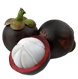 buah manggis pupuk panen banyak