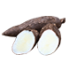 singkong, organik singkong, panen singkong melimpah, obat singkong, pupuk singkong