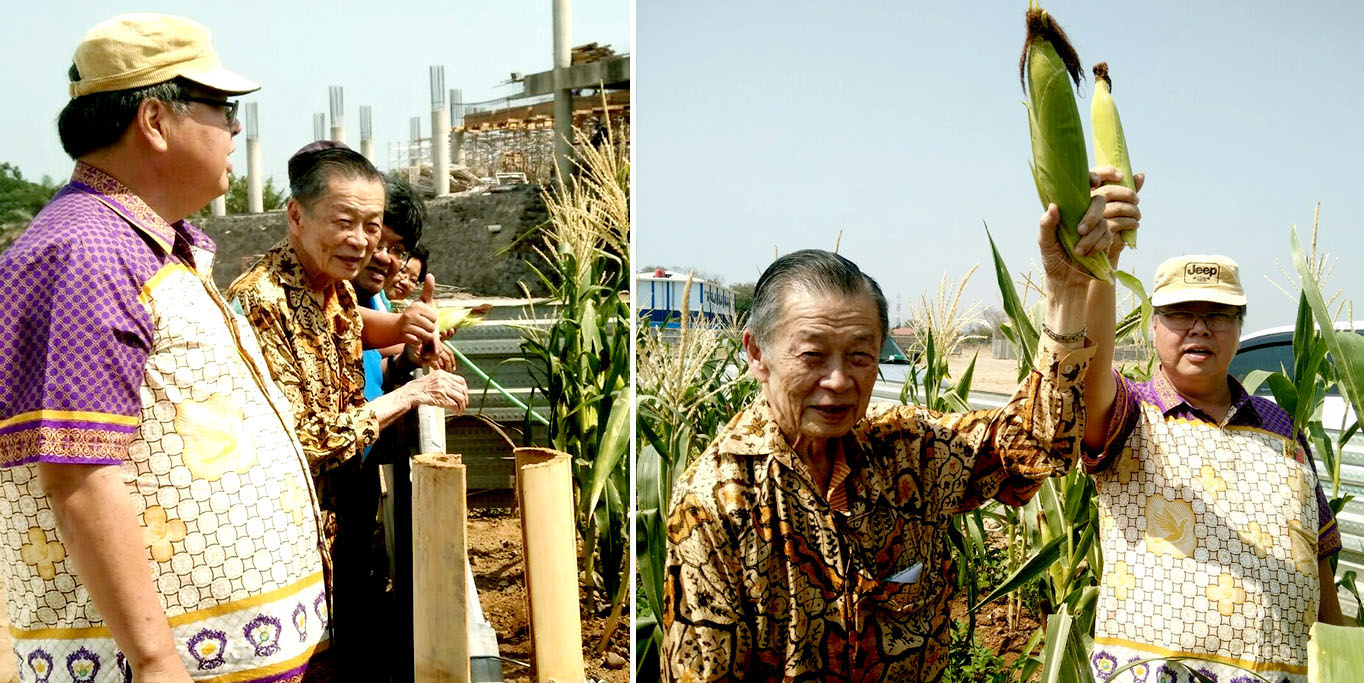 jagung