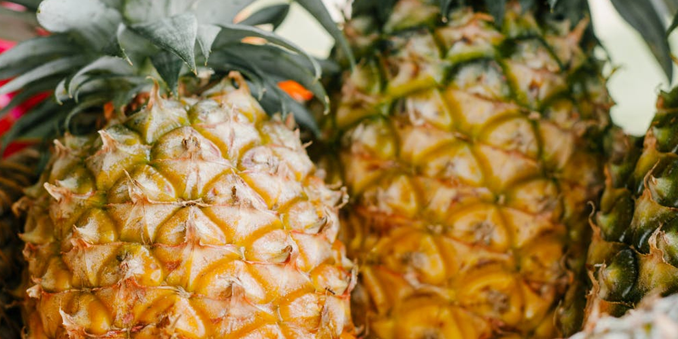 pupuk untuk tanaman nanas